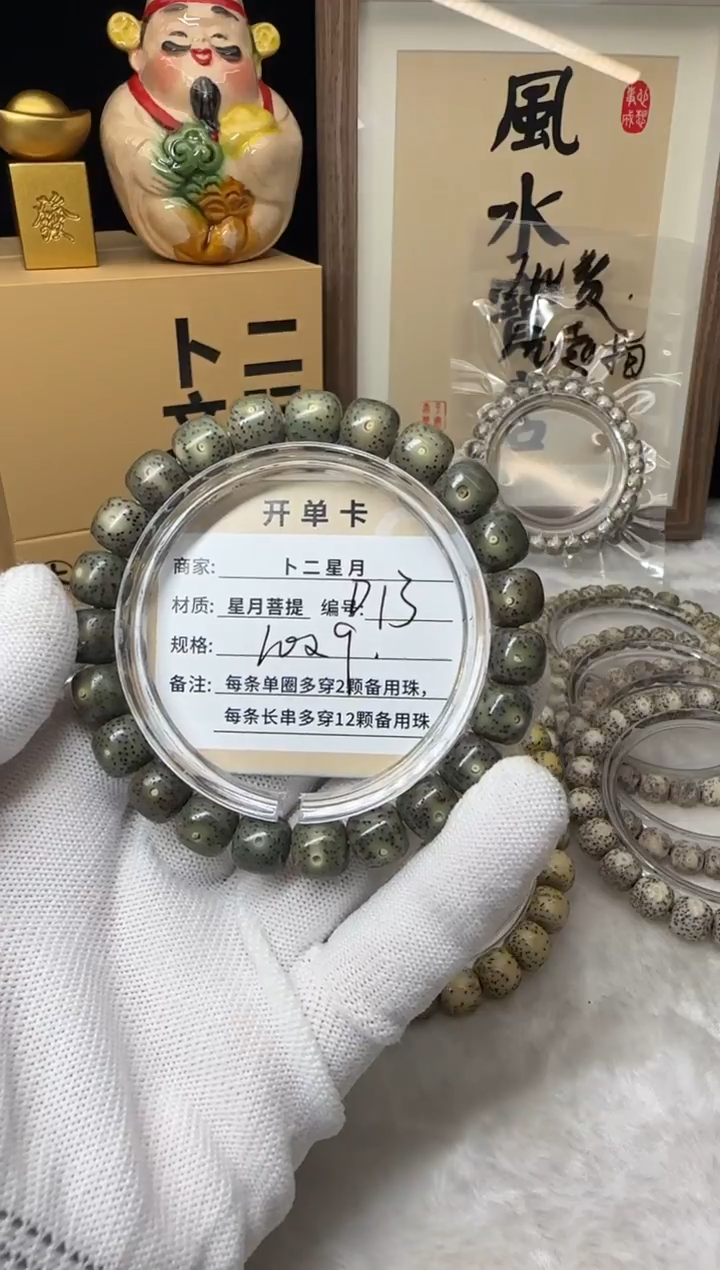 手串星月菩提单圈D13