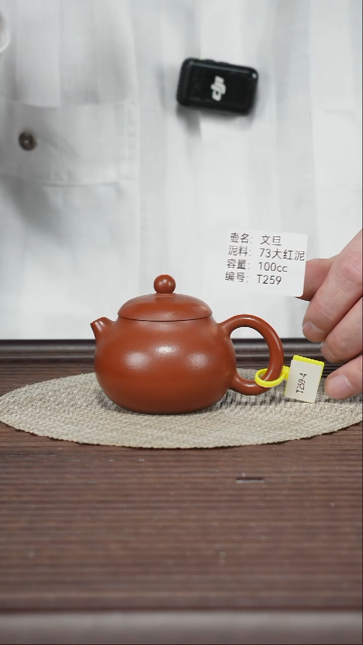茶壶紫砂T259 73大红泥 文旦 100cc