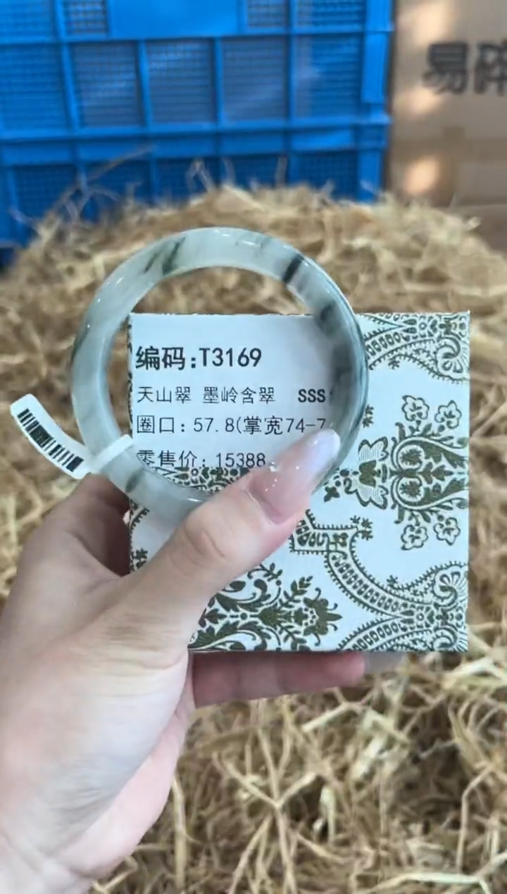 未镶嵌手镯石英质玉T3169