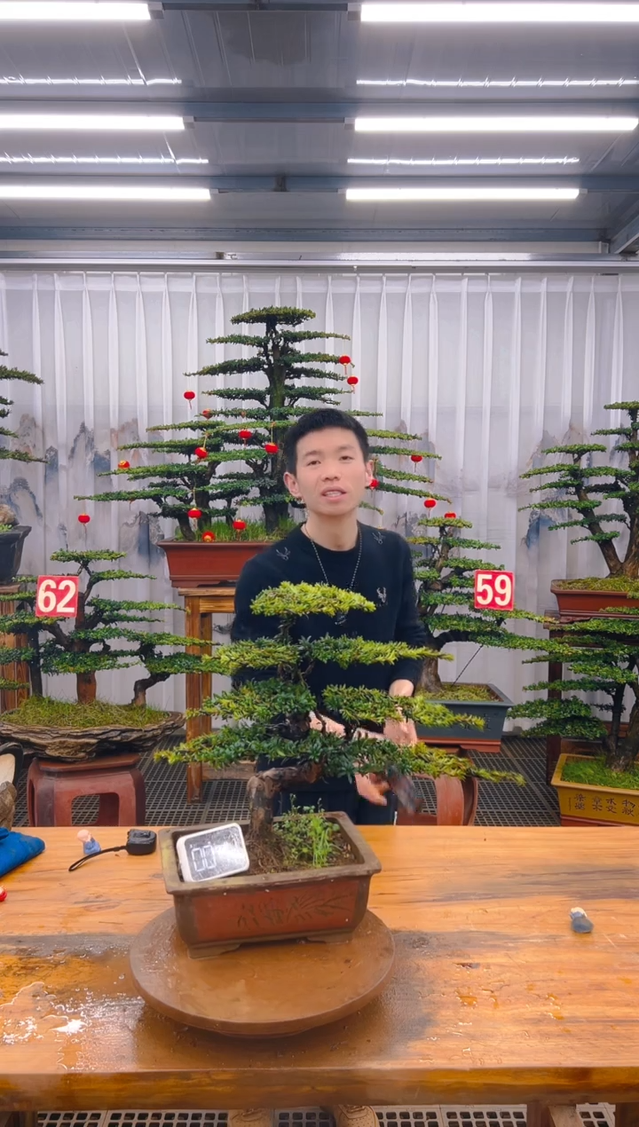 【闪购商品】紫砂精品盆景直播间一物一拍