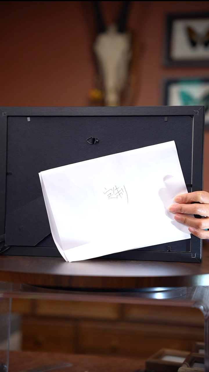 R****l定制  猫头鹰环蝶 相框