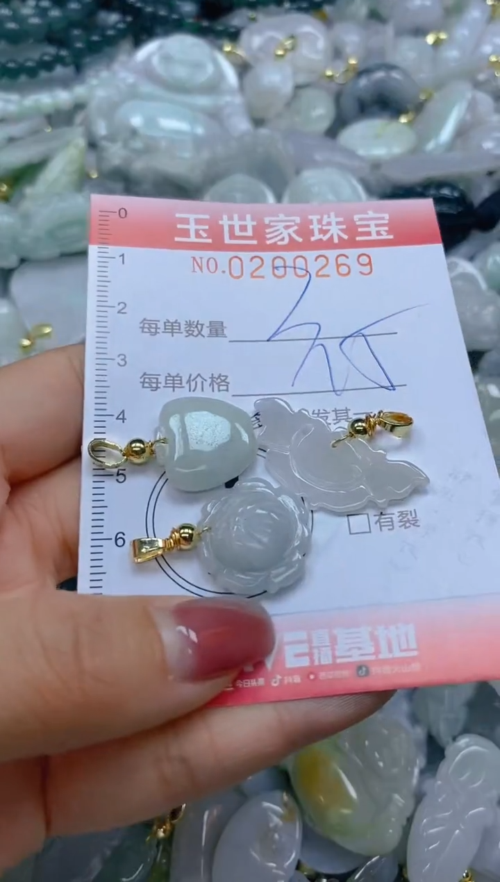 【闪购商品】翡翠颈饰未镶嵌闪购0200269