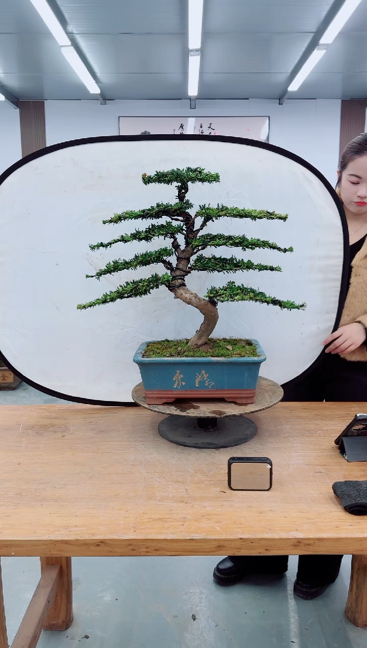 无花朵000000000000