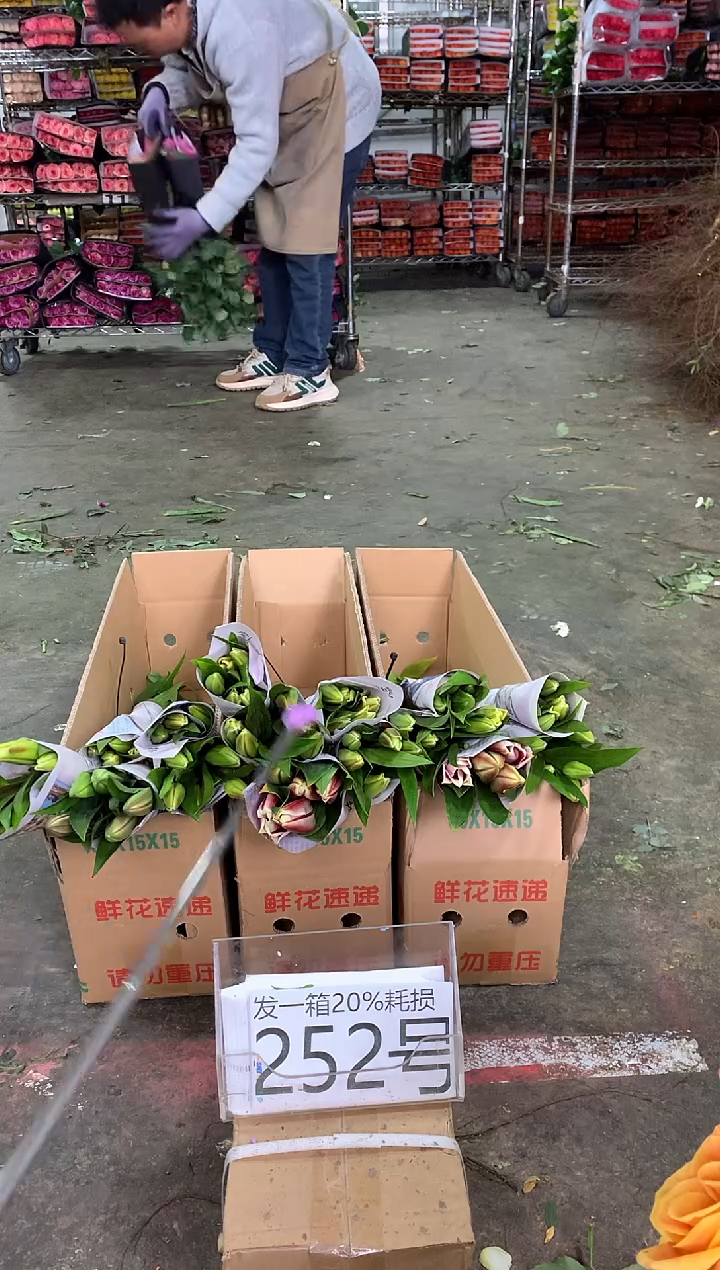 252号/5♥中通不指定随机颜色含20%耗损发一箱鲜花