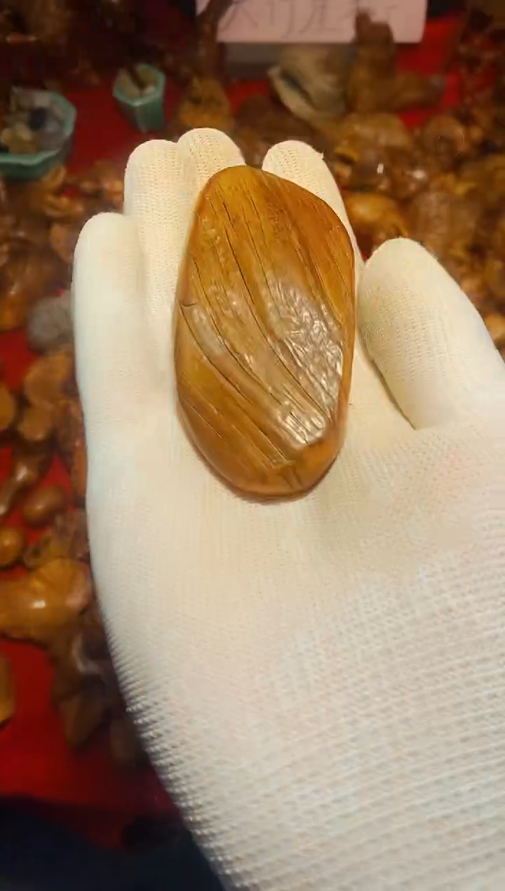 【闪购商品】柏木31崖柏崖柏崖柏