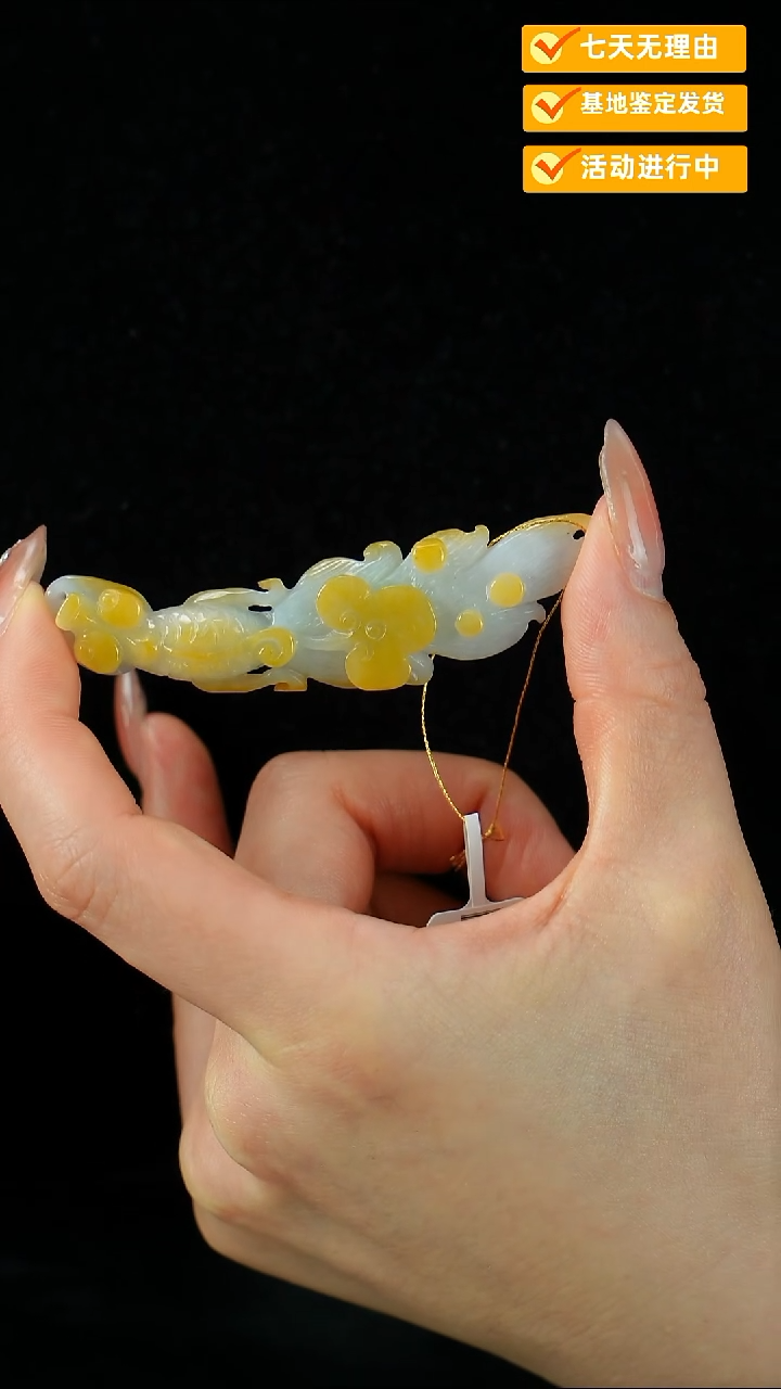 颈饰未镶嵌翡翠弯弯