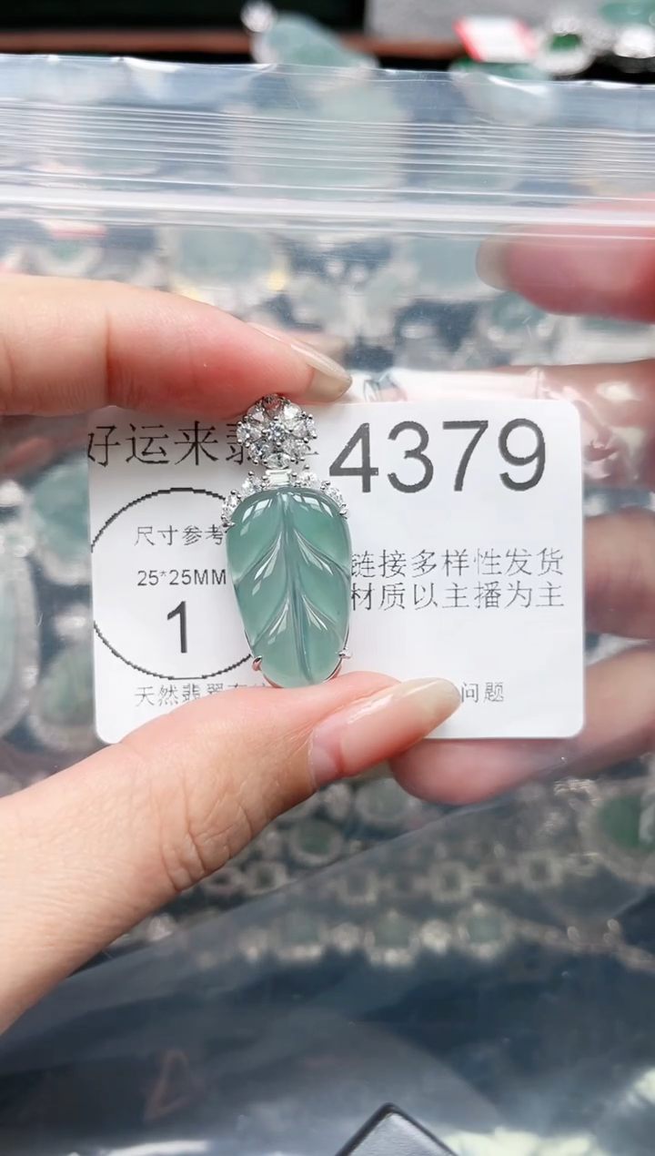 【闪购商品】翡翠颈饰未镶嵌赠皮绳