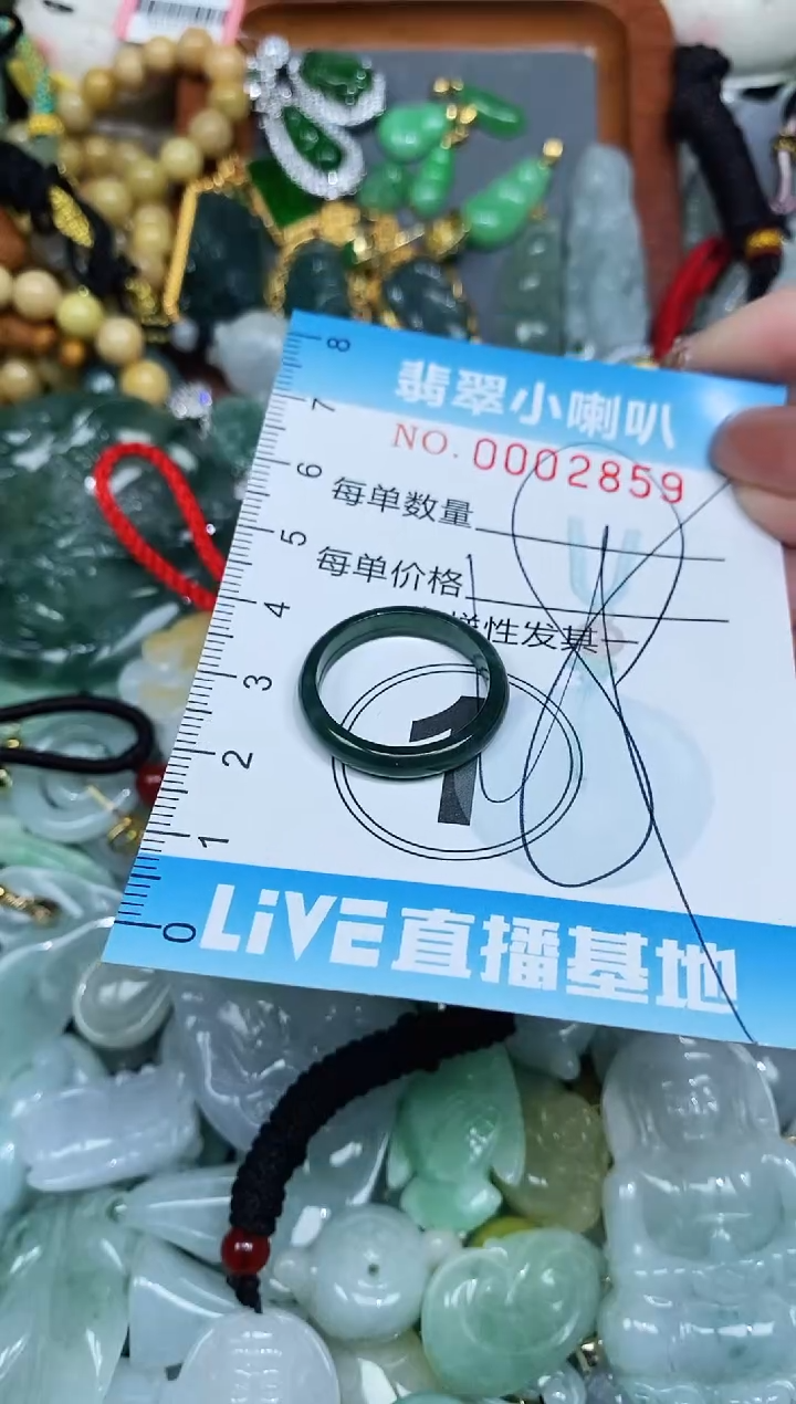 【闪购商品】翡翠颈饰未镶嵌闪购0002859多样性发其一