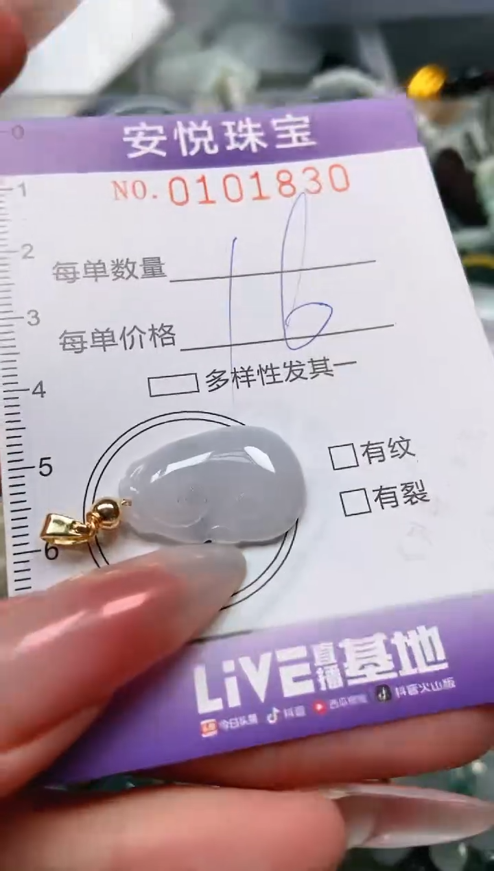 【闪购商品】翡翠颈饰未镶嵌闪购0101830