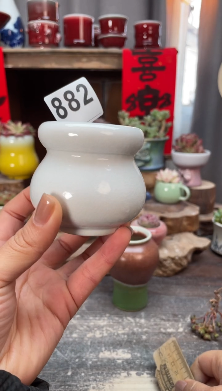 【闪购商品】摆件882知木小芳花盆