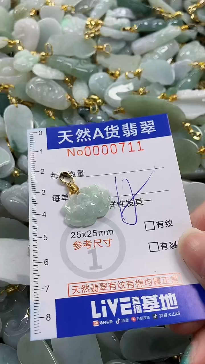 颈饰未镶嵌翡翠纯天然货翡翠