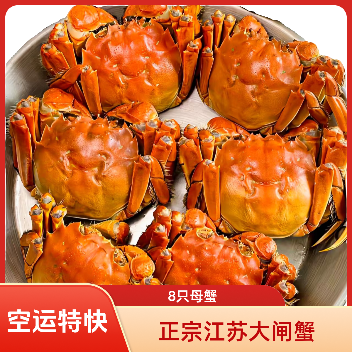 cc【活蟹】江苏大闸蟹巨无霸公蟹5两共10只顺丰明天到死蟹包赔海鲜
