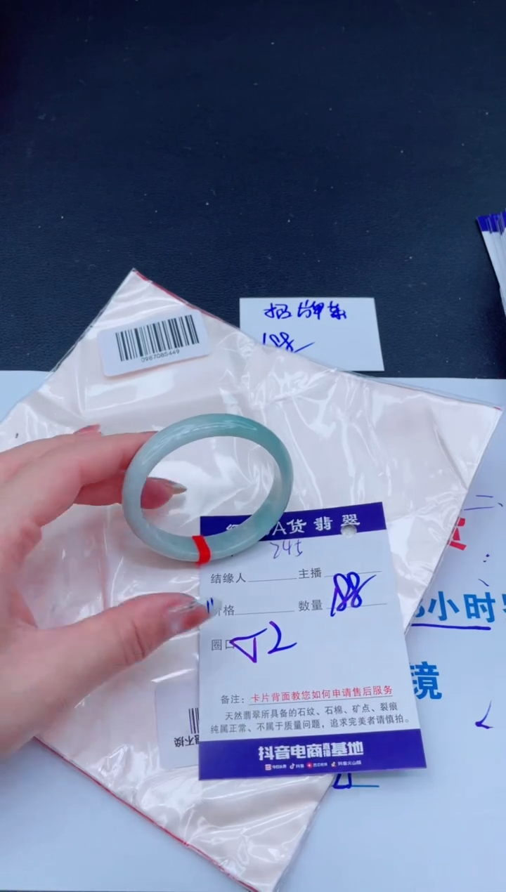 未镶嵌手镯翡翠11