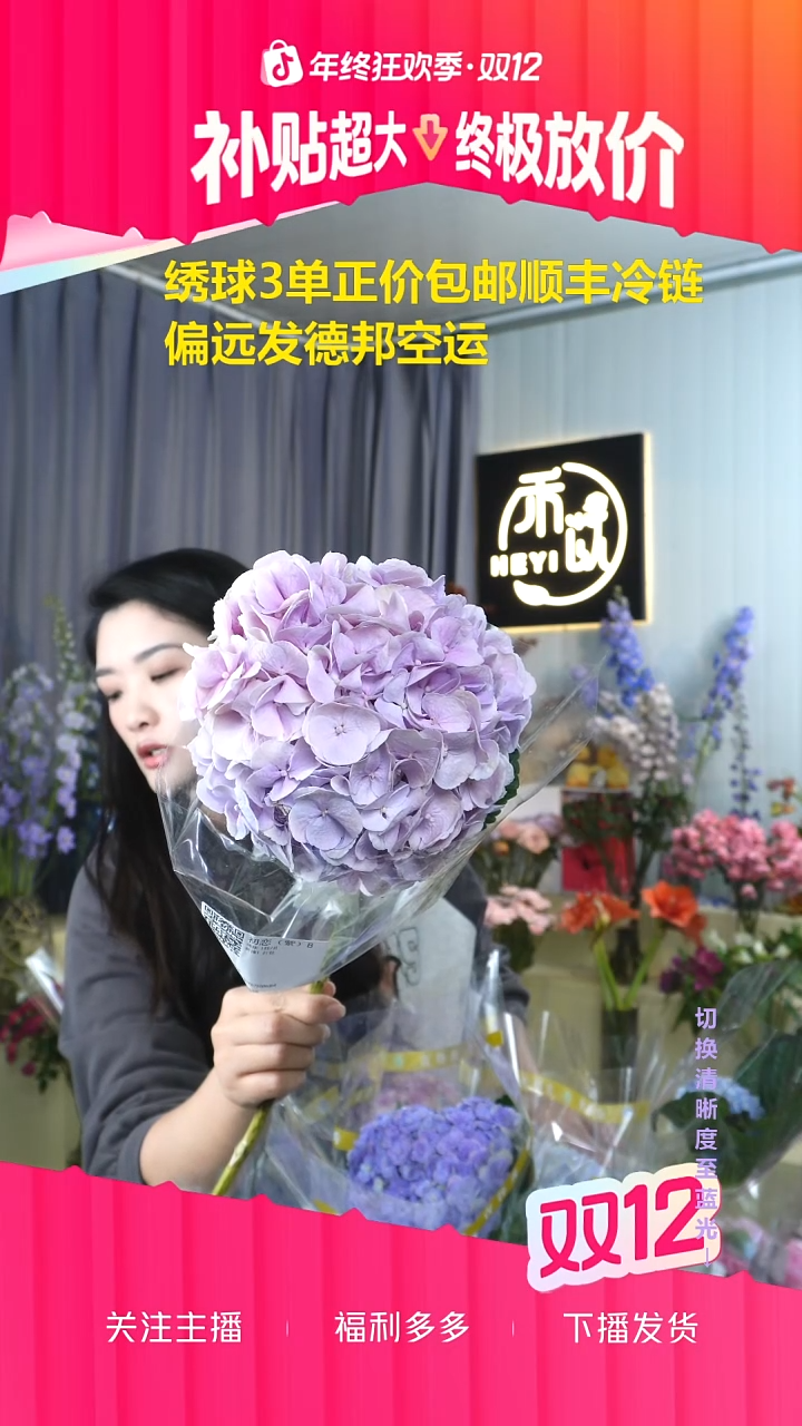 完全开放可*六19号绣球 有色差介意勿拍