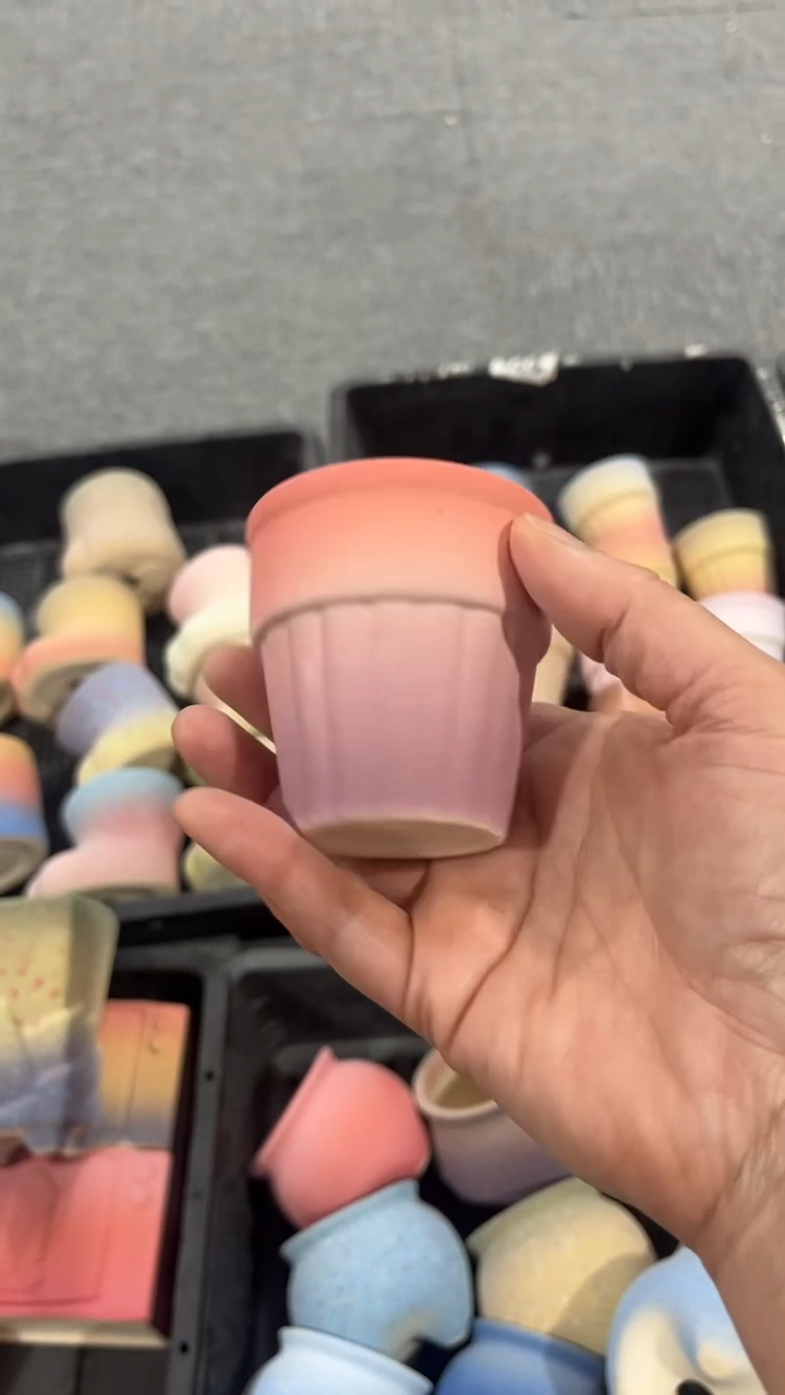 【闪购商品】红陶6*6