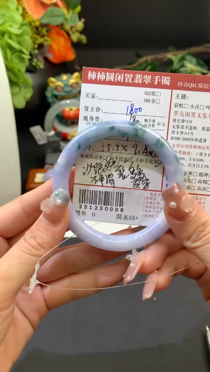 未镶嵌手镯翡翠姐姐251230008