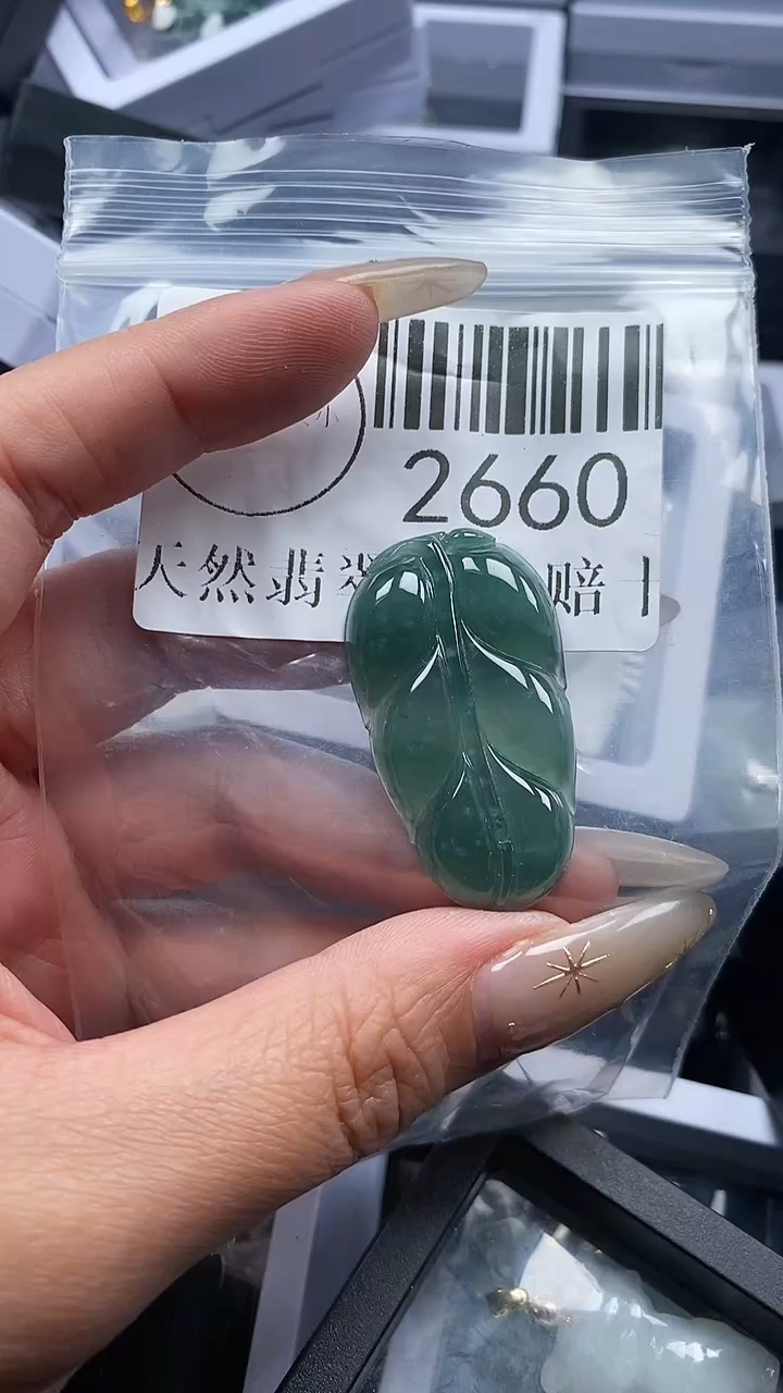 颈饰未镶嵌翡翠2660