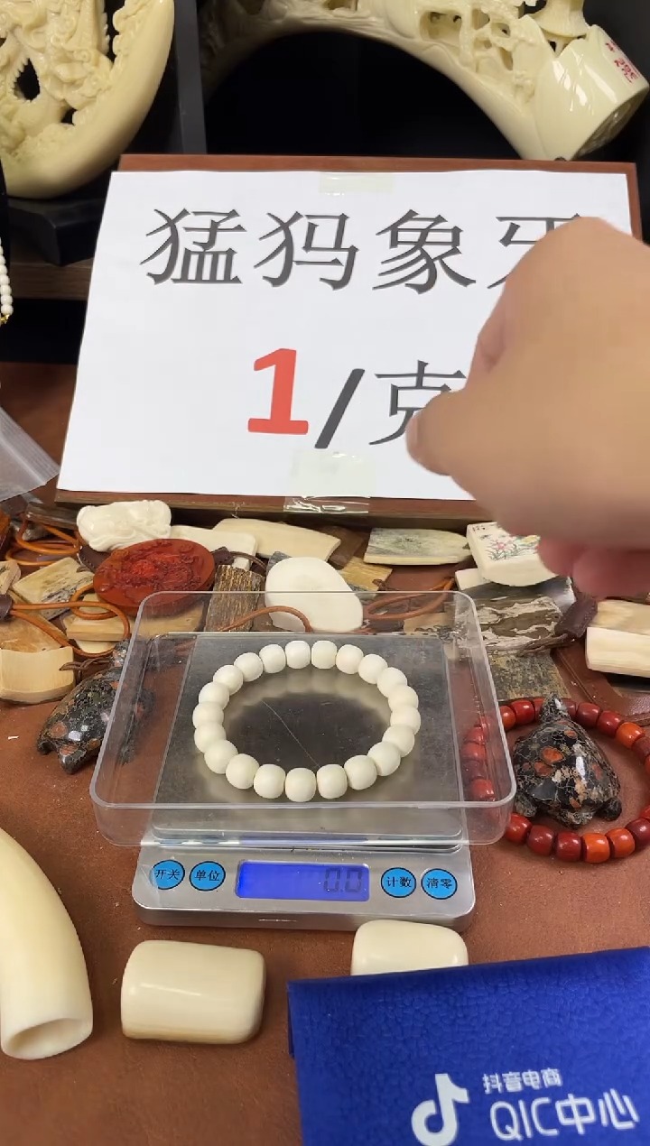 猛犸猛犸10*9老型单圈