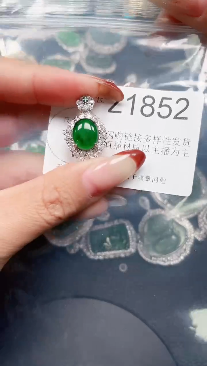 【闪购商品】翡翠颈饰未镶嵌吊坠赠皮绳1852