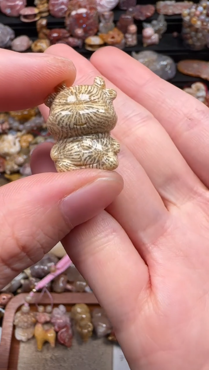 硅化珊瑚（珊瑚玉）未镶嵌颈饰518