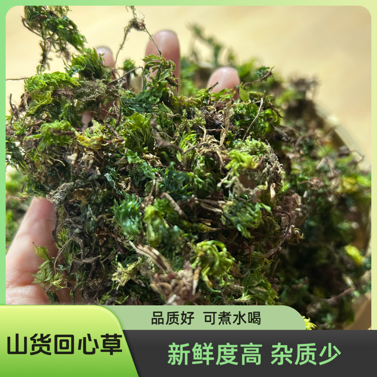 【山货回心草】100g  新鲜度高，煮水喝