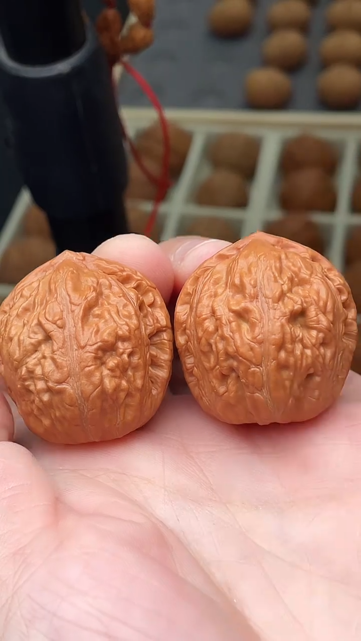 把件文玩核桃肉龙粗筋