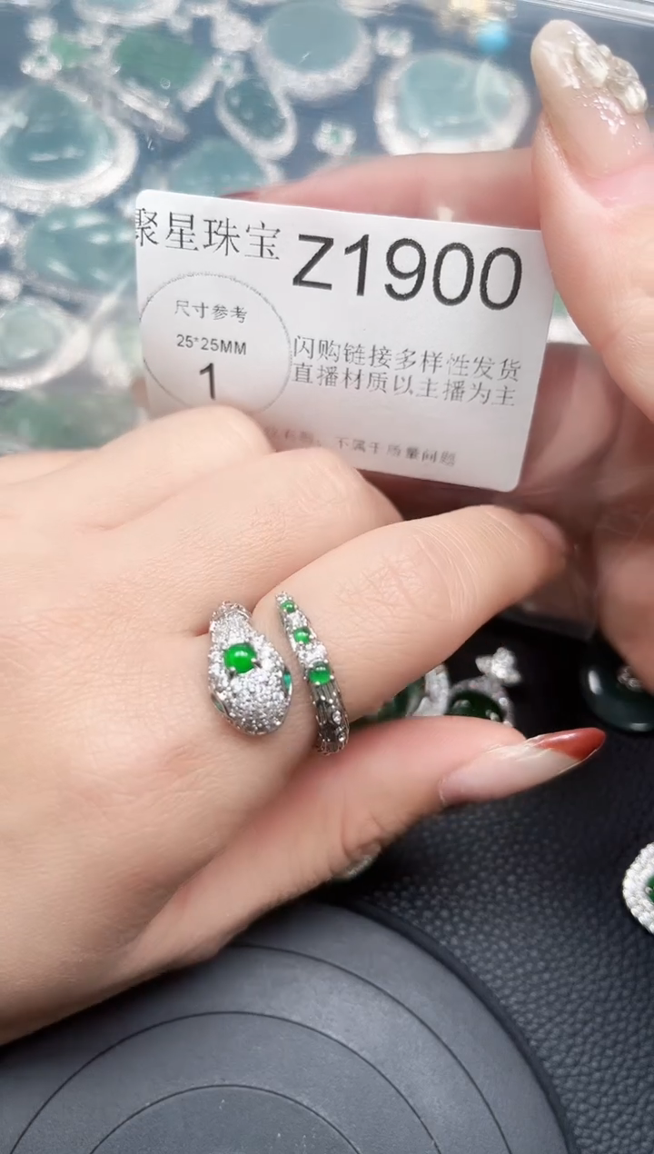 【闪购商品】翡翠颈饰未镶嵌赠皮绳1900