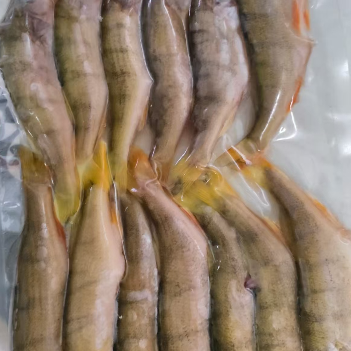 新疆包邮冰鲜五道黑