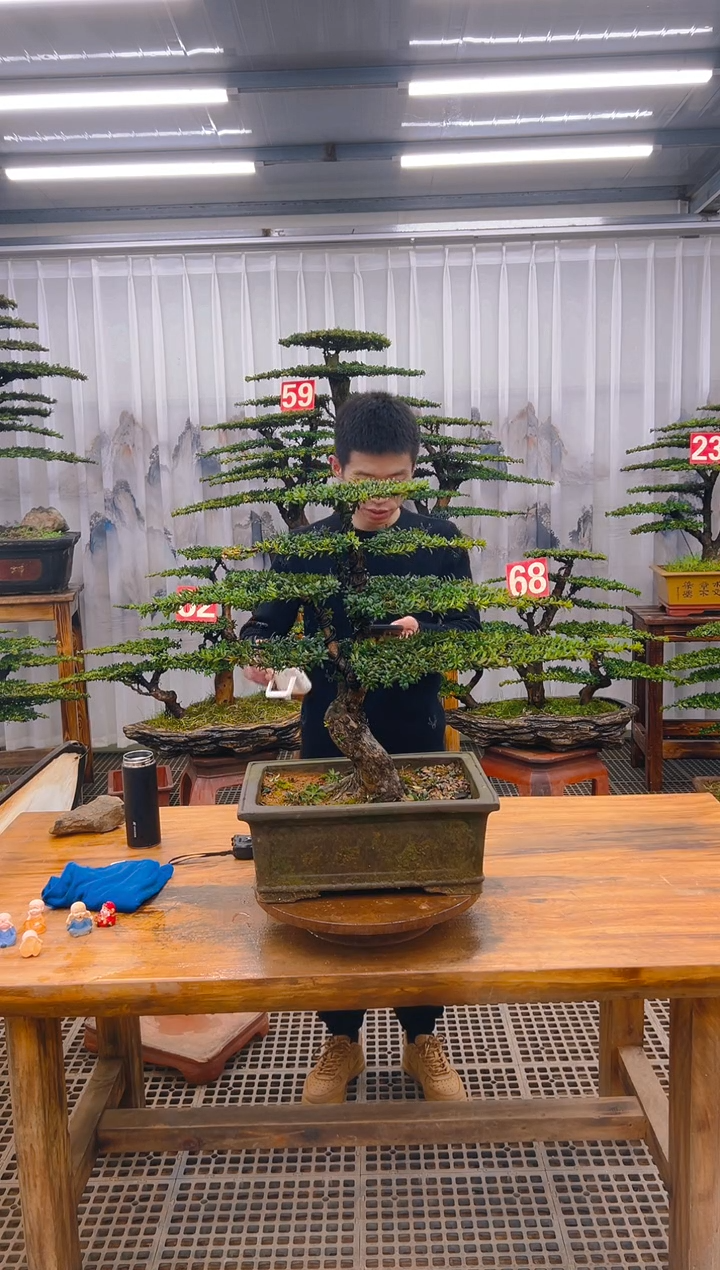 【闪购商品】紫砂精品盆景直播间一物一拍