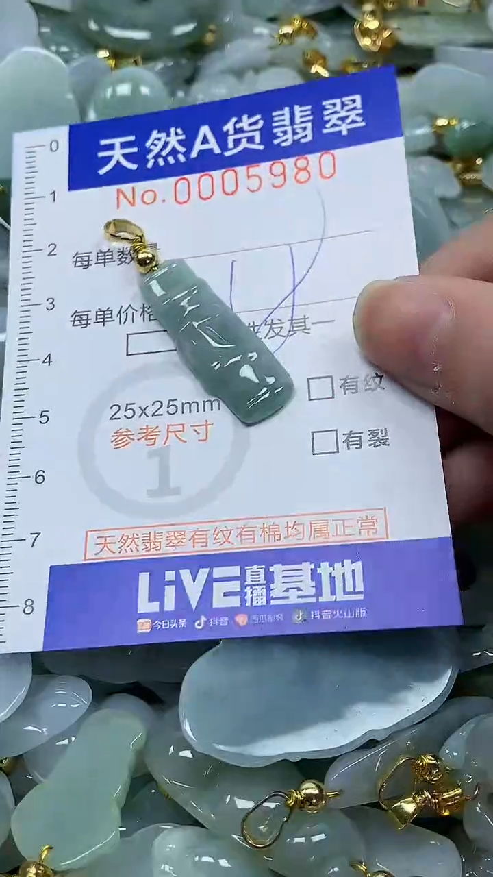 颈饰未镶嵌翡翠纯天然a货翡翠