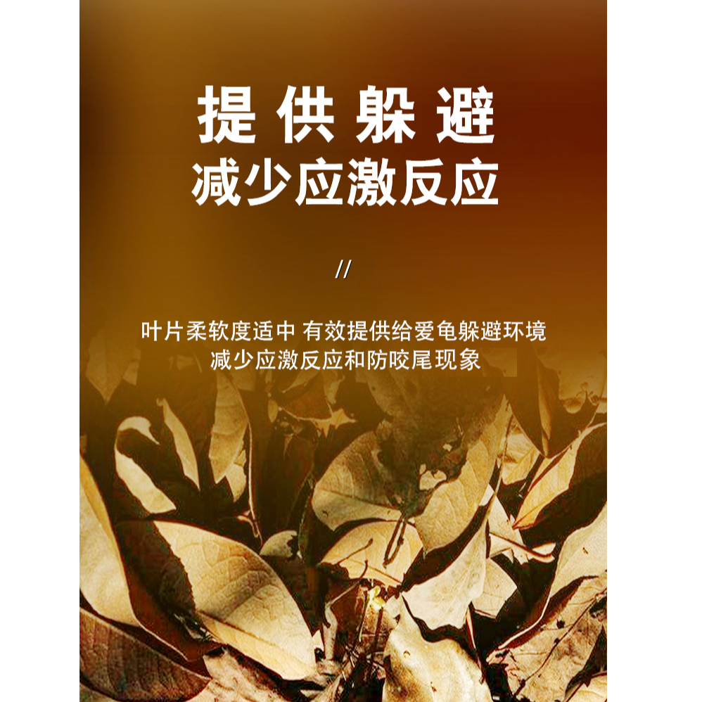 龙眼叶乌龟腐皮清热解毒抗菌消炎调节pH值水质浅水躲避