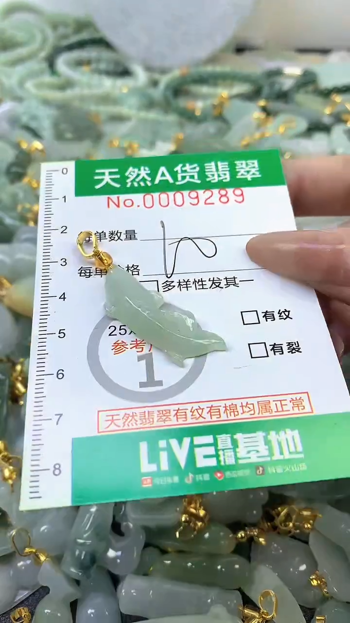 颈饰未镶嵌翡翠未镶嵌纯天然A货翡翠