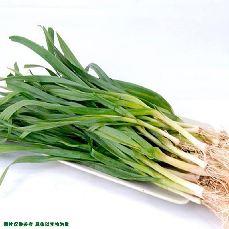 【新鲜】青大蒜约200g±10g/份