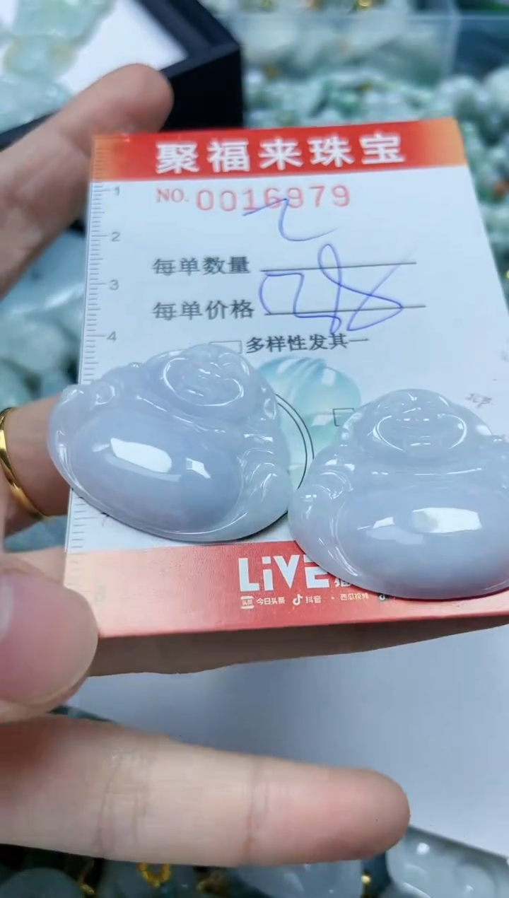 【闪购商品】翡翠颈饰未镶嵌闪购0016979