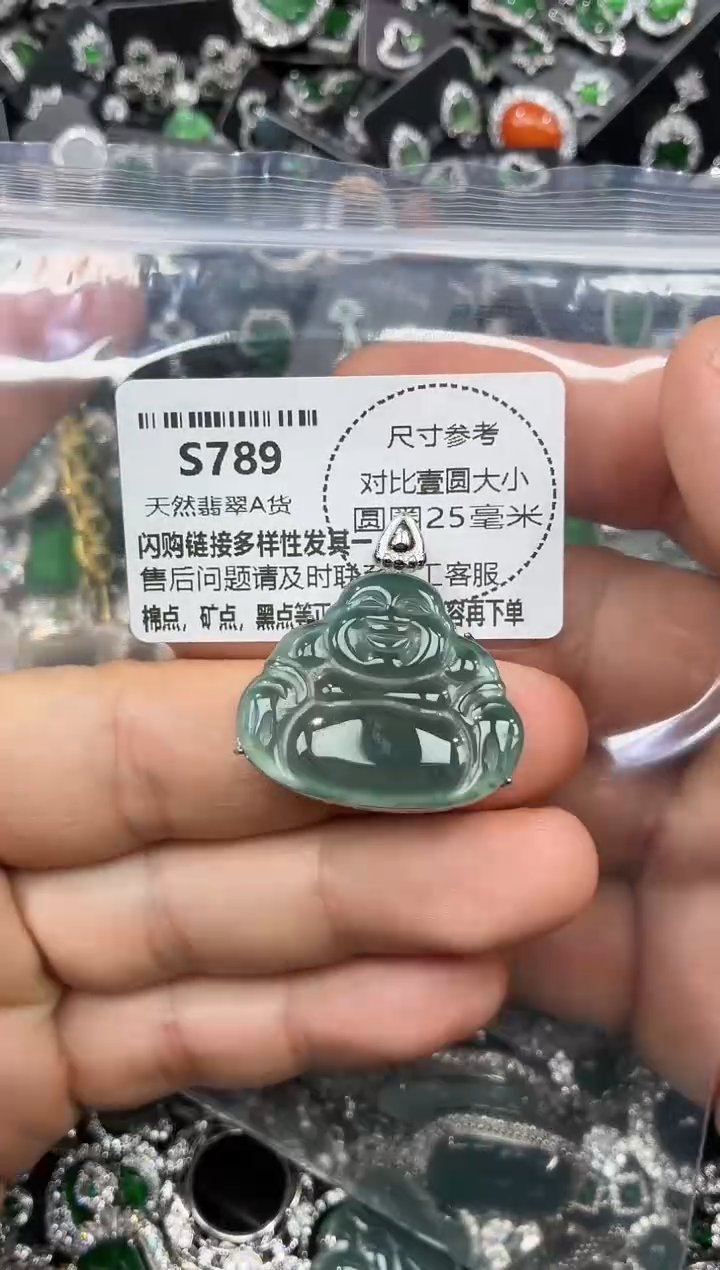 颈饰未镶嵌翡翠S789吊坠