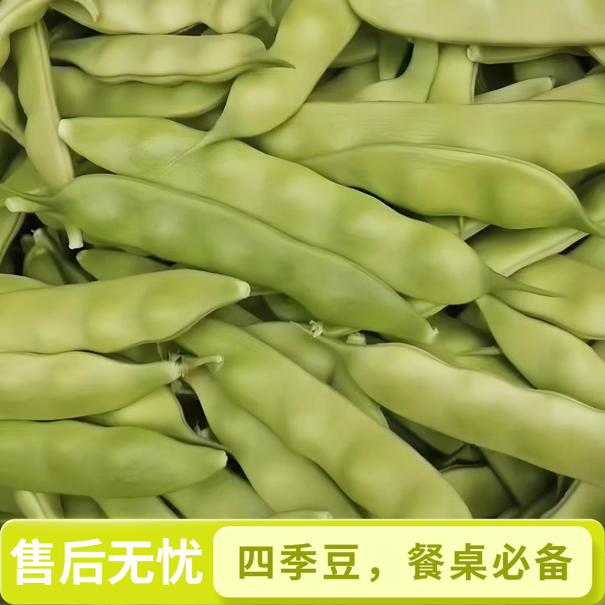 东北吉林梨树九月青油豆角新鲜采摘现摘现发