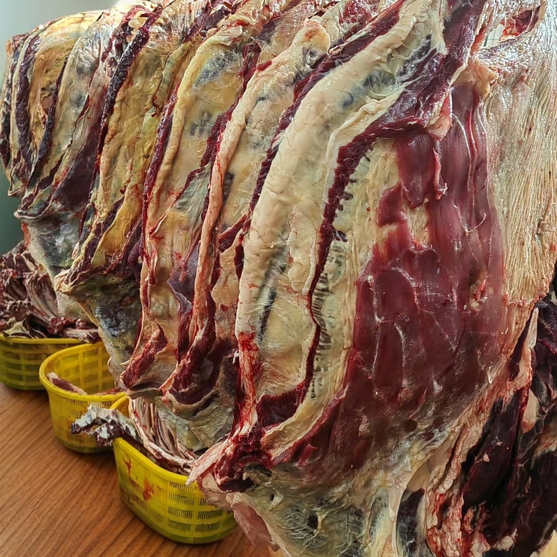 整切牛排锡盟黄标牛排5斤装 