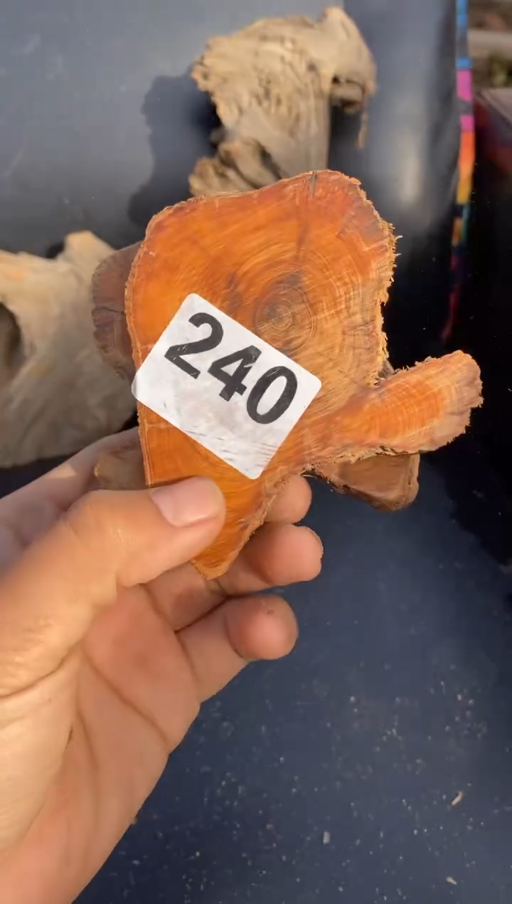 柏木（崖柏）太行陈化崖柏！随机（1单1片）240