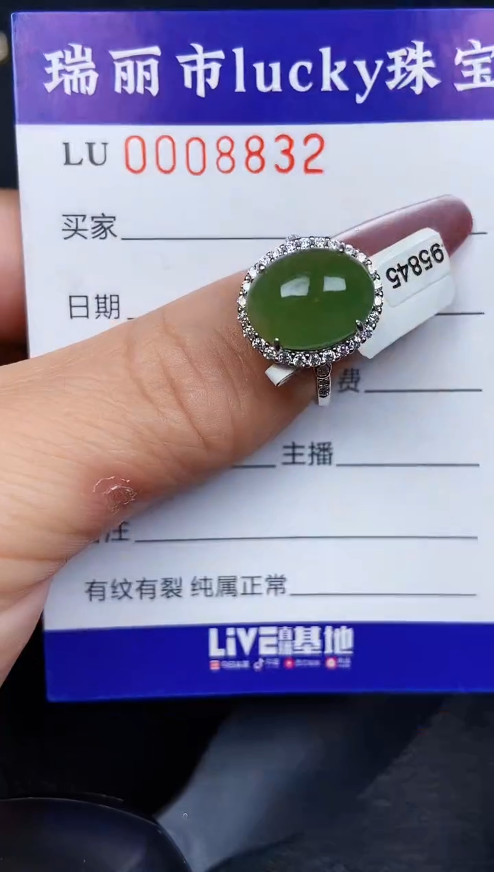 翡翠银S925镶嵌颈饰8832