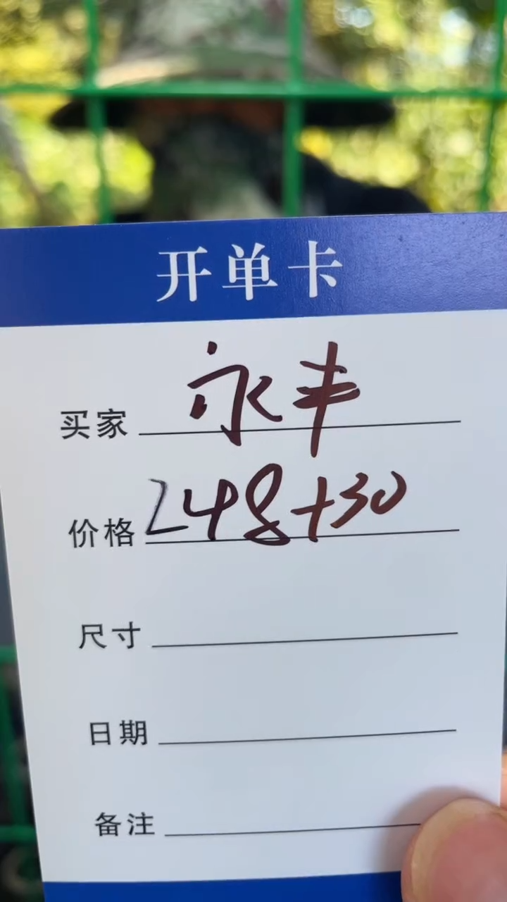 非金属无永****板手镯下单链接秒拍秒付