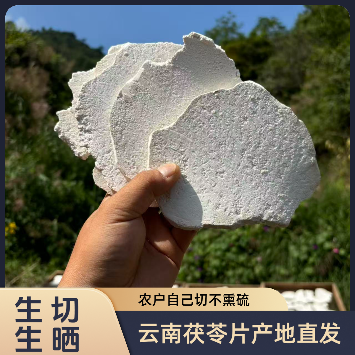 【云南茯苓片】无硫茯苓片生切生晒花甲茯苓滋补养生道地产地直发2