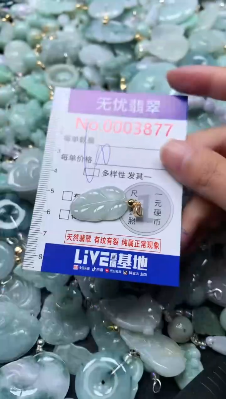 颈饰未镶嵌翡翠3877