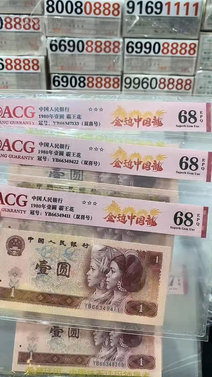 【闪购商品】801金边中国龙68分双尾号YB6634