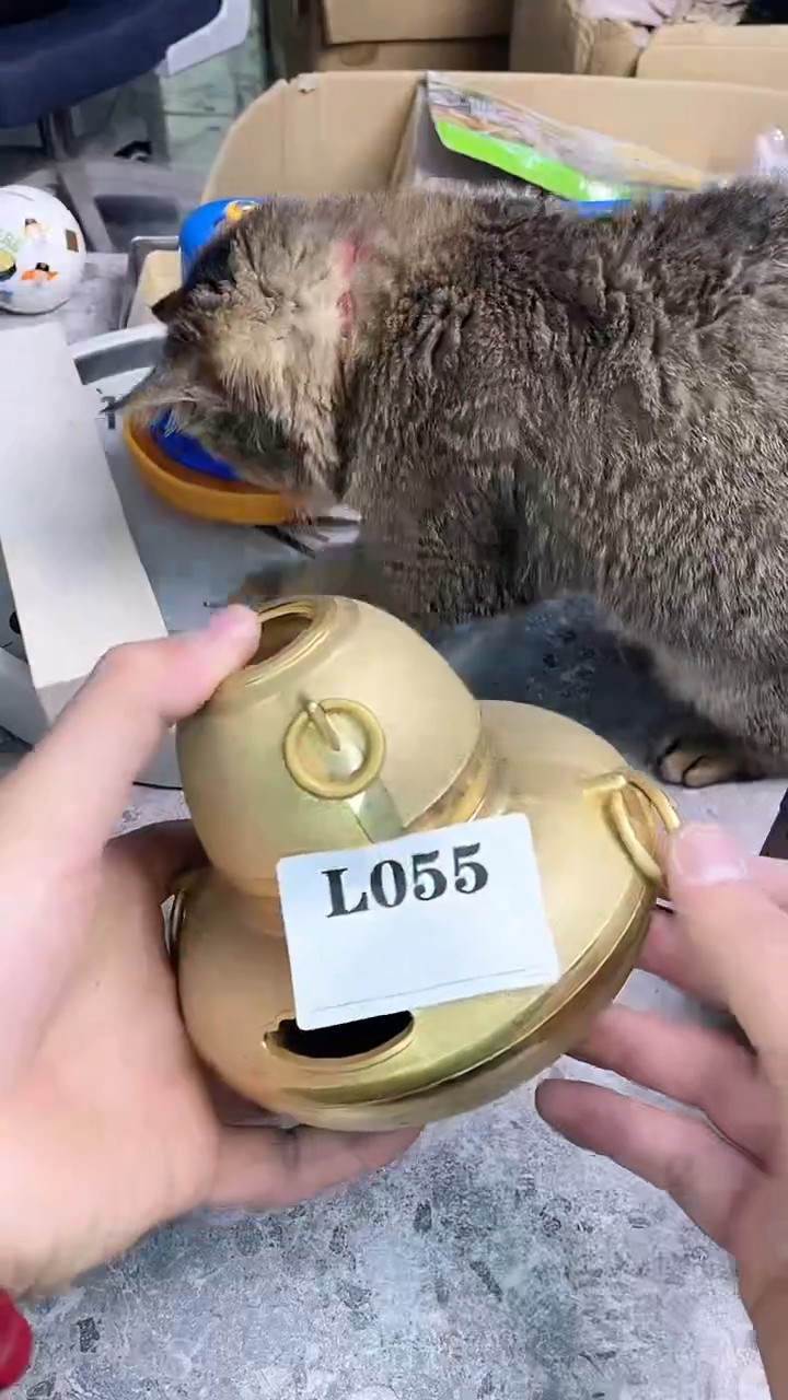 瓷片不***鱼默认微瑕回流古瓷055