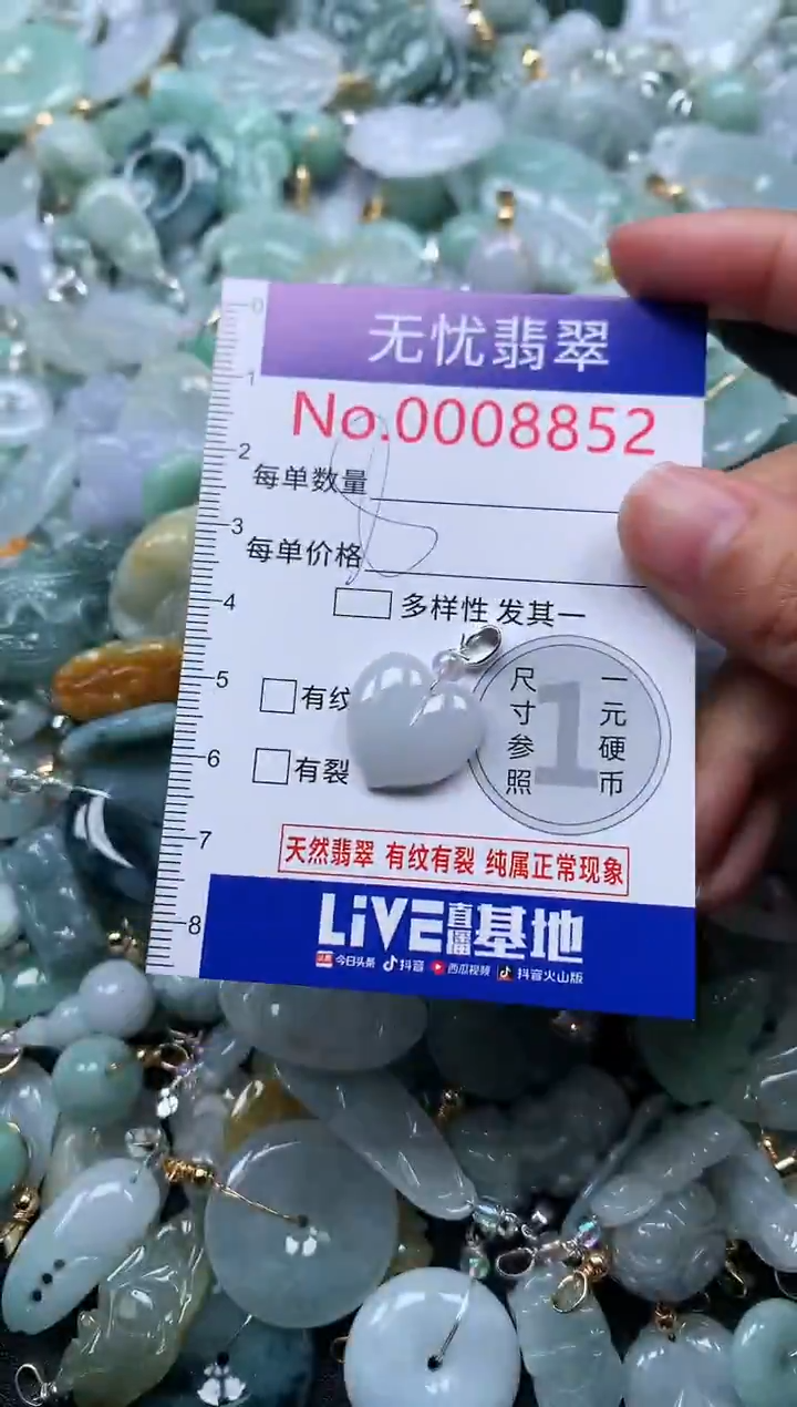 颈饰未镶嵌翡翠8852