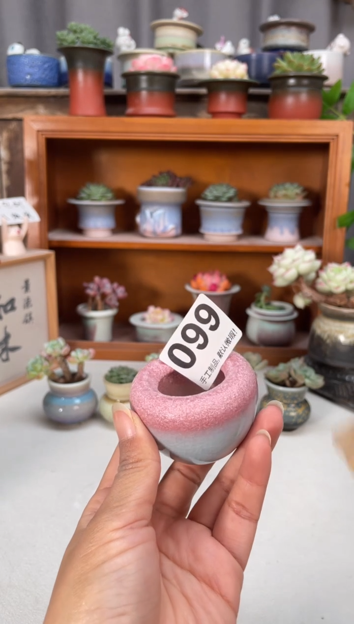 瓷片099知木小芳花盆