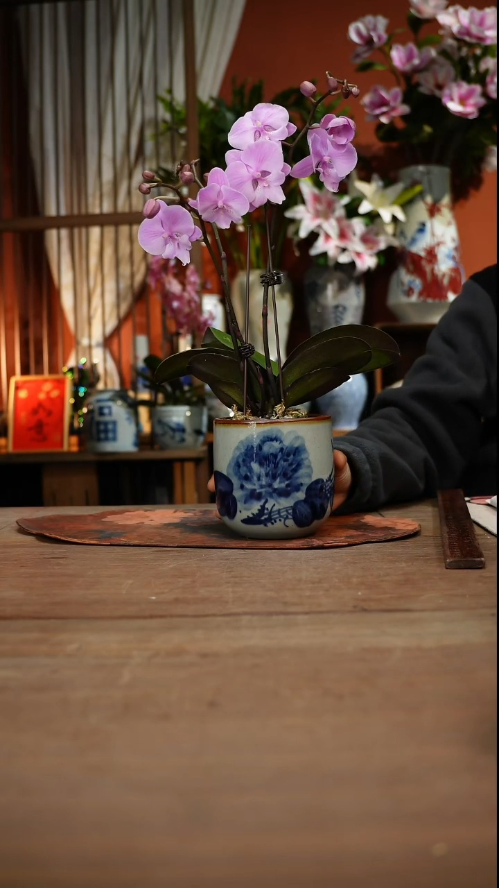 现代高温釉下彩手绘陶瓷餐具