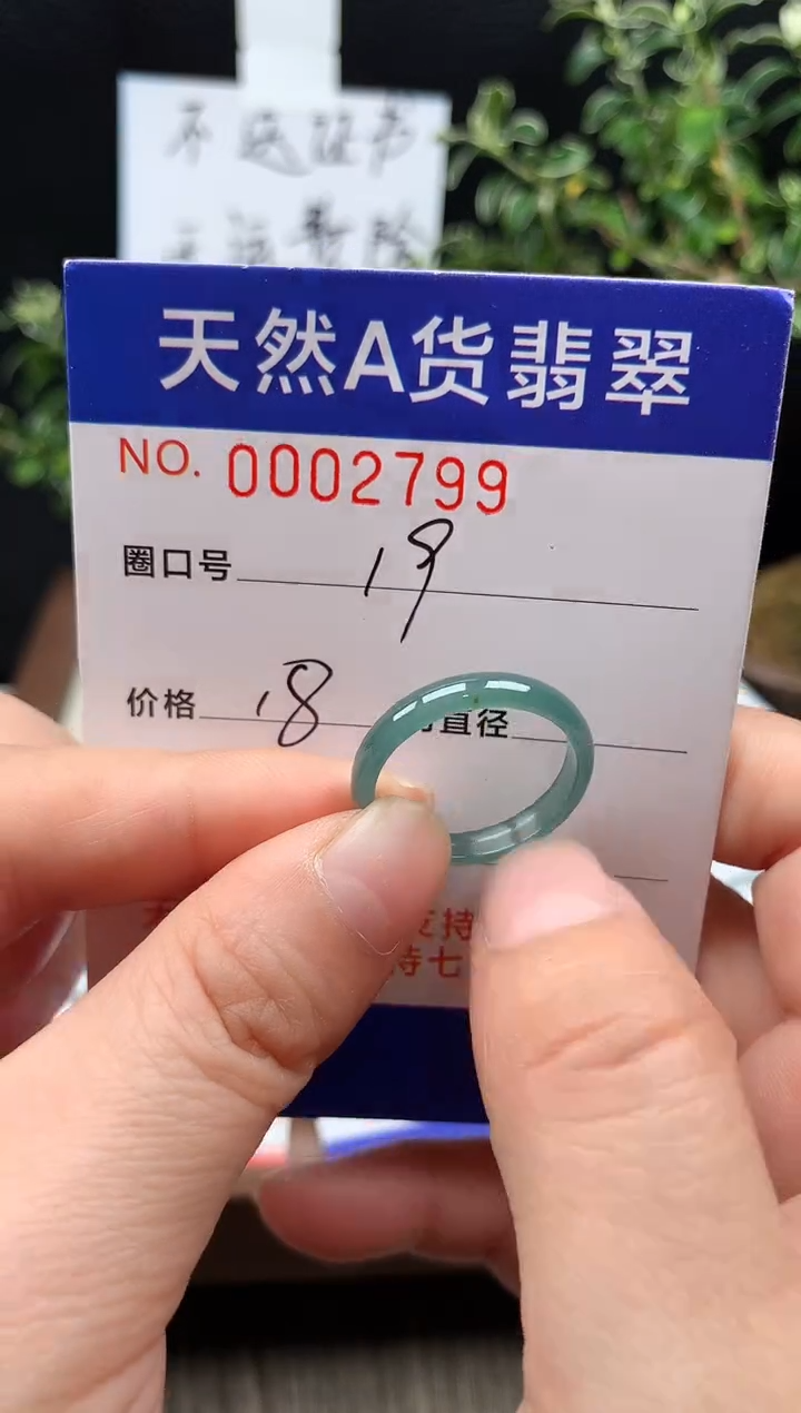 未镶嵌戒指翡翠19#