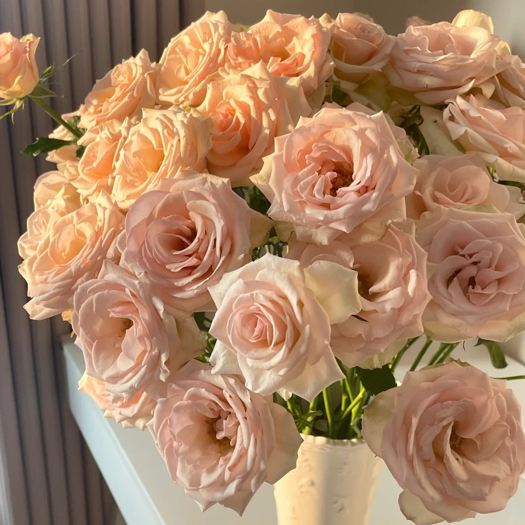 多头香槟，玫瑰，1单冷链包邮，2单升级京东或者顺丰，远的发德邦