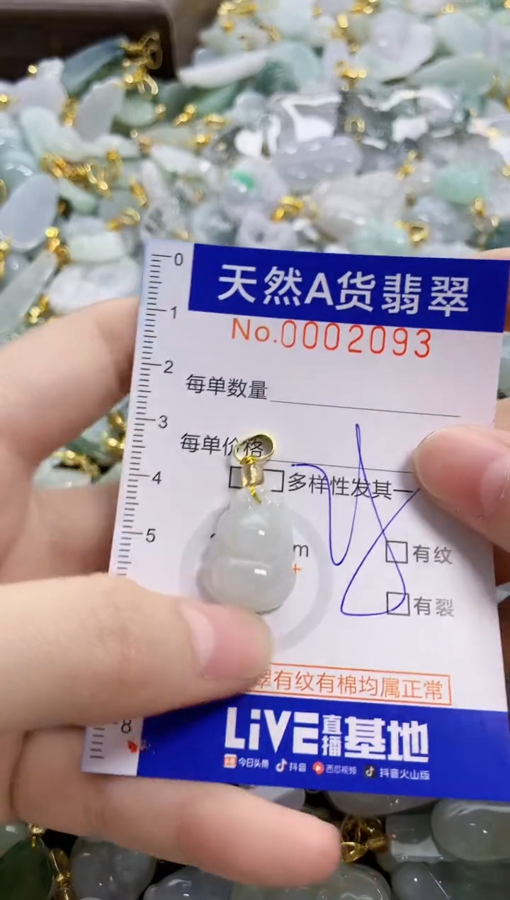 颈饰未镶嵌翡翠天然A货翡翠